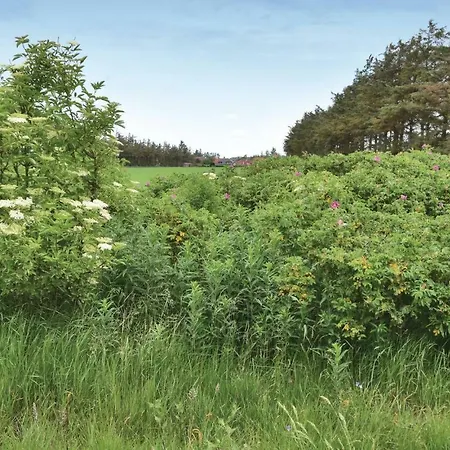Feriehus Holiday Sivvaenget Skjern Denm